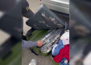 Polícia prende suspeita de tráfico de drogas em rodovia de Porangaba