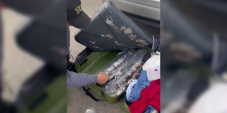Polícia prende suspeita de tráfico de drogas em rodovia de Porangaba