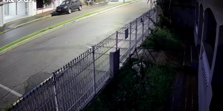 Homem suspeito de roubar celular de mulher em Conchas é preso na rodoviária de Campinas; vídeo