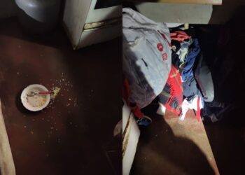 Polícia indicia conselheiras tutelares por suposta negligência em caso de maus-tratos contra criança em Cerquilho