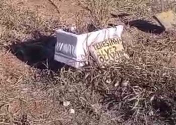 Morador denuncia abandono em cemitério e dificuldade para encontrar jazigos de familiares: 'Tudo parece destruído'