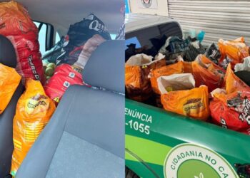 GCM recupera 200 quilos de laranjas furtadas de fazenda no interior de SP